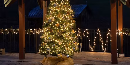 6th Annual Christmas Tree Lighting