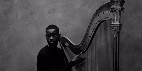 Dave - the Boy Who Played the Harp Tour