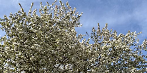 Silent Meditation Retreat, hosted by UW Health Mindfulness Program