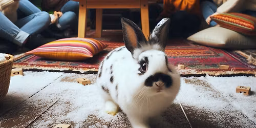 \u05d4\u05d3\u05dc\u05e7\u05ea \u05e0\u05d9\u05e8\u05d5\u05ea \u05d7\u05e0\u05d5\u05db\u05d4 \u05d1\u05d1\u05d9\u05ea \u05e9\u05dc \u05d7\u05d5\u05d8\u05dd