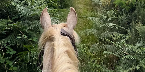 Randonn\u00e9e \u00e9questre