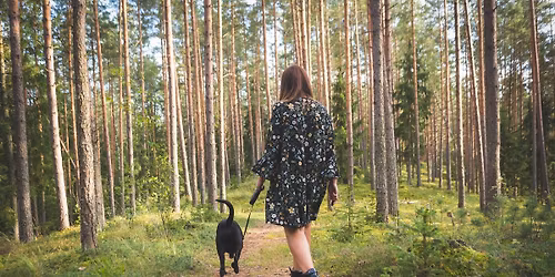 Je peux pas, j\u2019ai marche \ud83d\udeb6\u200d\u2642\ufe0f