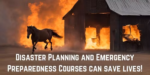 Essentials in Emergency Preparedness