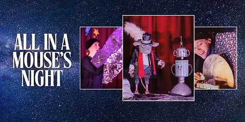 All in a Mouse's Night