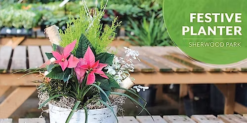 Festive Planter |Workshop  | Salisbury Greenhouse Bay1 | Sherwood Park