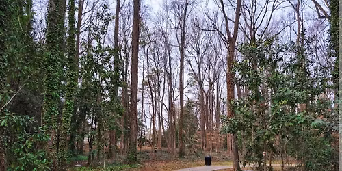 Marion Diehl Reroutes Part Deux