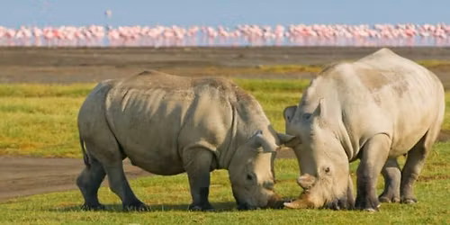 The Great Lakes Festive Escape