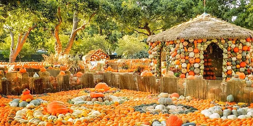 Pumpkin Stroll at the Dallas Arboretum x Plano Stroller Society