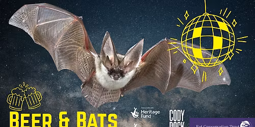 Beer & Bats 2026