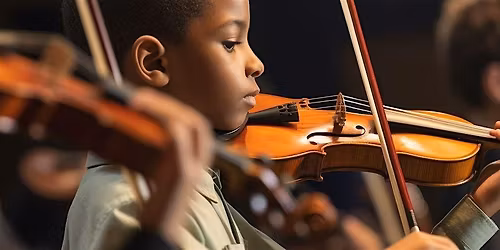 Vero Beach Chamber Orchestra Takes the Stage!