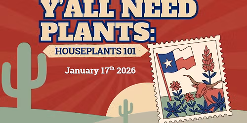 Y\u2019all Need Plants: Houseplants 101