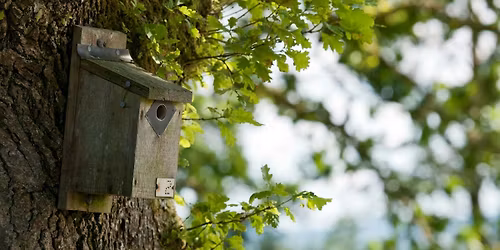Slough Nature Afternoon - Sun 23 November, St John Baptist Church