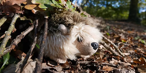 Swanwick Lakes Wildlife Tots: Happy Hibernators!