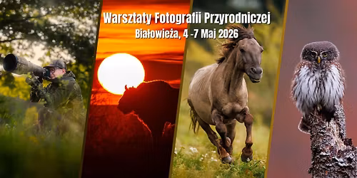 Warsztaty fotografii przyrodniczej z Patrykiem Kurcem