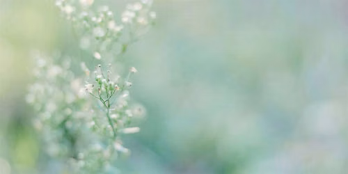 Reclaiming Your Strengths as a Highly Sensitive Person (In Person)