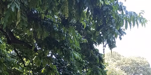 Torino International Yoga Day \ud83c\udf89 10\u00b0 edizione