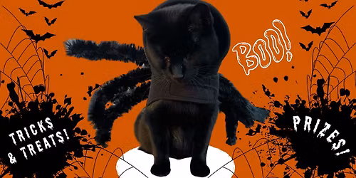 Halloween Pet Costume Contest