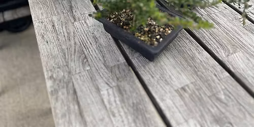 Beer & Bonsai Workshop at Braeloch Brewing