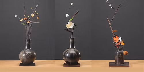 M Stark Gallery presents David Kimball Anderson "Still Life Work"