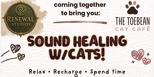 Sound Healing with Cats (take 2!)