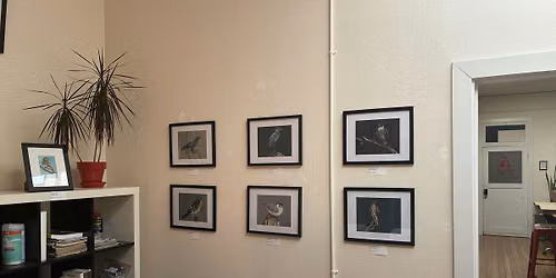 Pre-CAW Artist Meetup