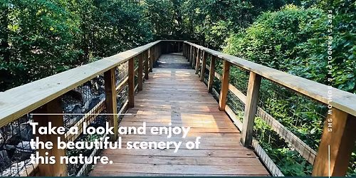 First Day Hike at the Forts!