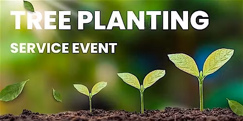 Rotary Tree Planting