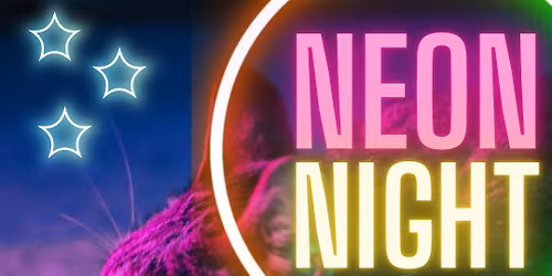 Neon Night