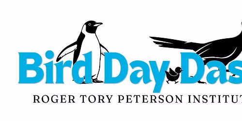Roger's Bird-Day Dash