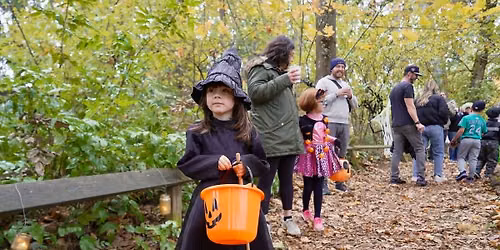Haunted Forest at Homewood Park