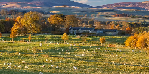 Rothbury and the Carriage Drive guided walk