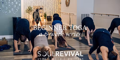 Beginner Yoga Series