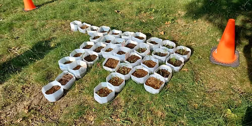 Grow One, Keep One Milk Jug Return