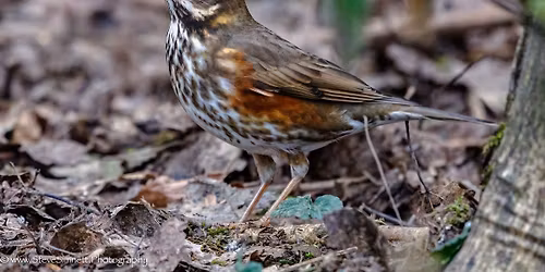 Papercourt Water Meadows 