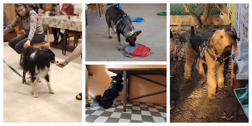 Zimn\u00ed noseworkov\u00fd v\u00edkend II