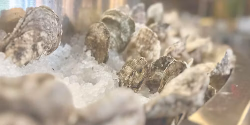 Shuck Yeah! Half-Off Oyster Day