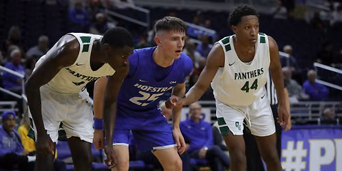 Hofstra Pride at William & Mary Tribe Womens Basketball