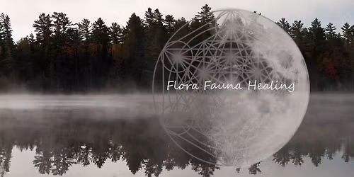 Reiki 1&2 Class 