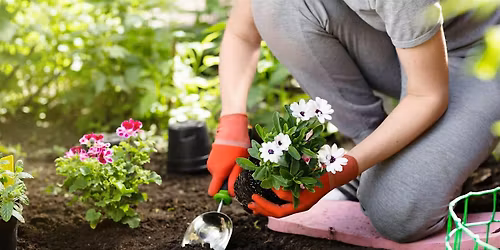 Gardening101