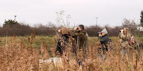 Nesting Bird Survey