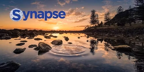 Synapse Hub 301 @ Fear 2 Freedom