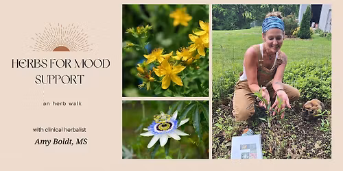 Plant Walk: Herbs for Mood Support