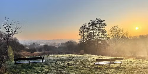 The Seed Wellness Discovery Walk