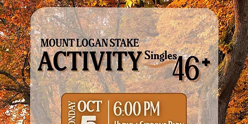 Mount Logan Stake Singles Activity