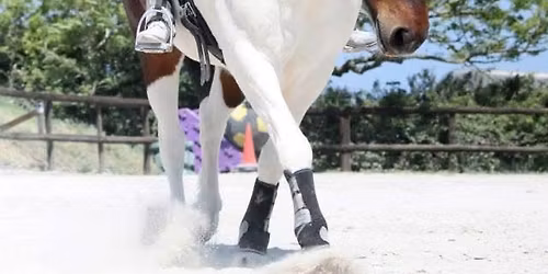 Codden Hill Winter Clinic with Alison Zuend