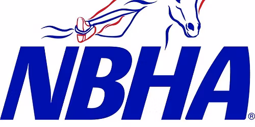 2025 NBHA IN01 Awards Banquet