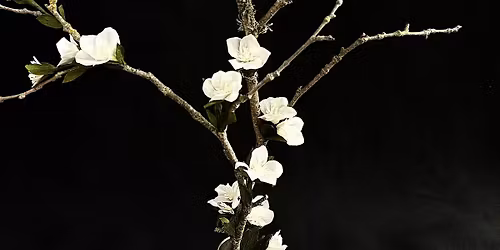 Crepe Paper Budding Flowers on a branch