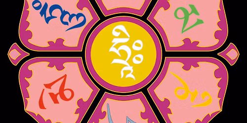 Lezioni di Yoga a Bologna