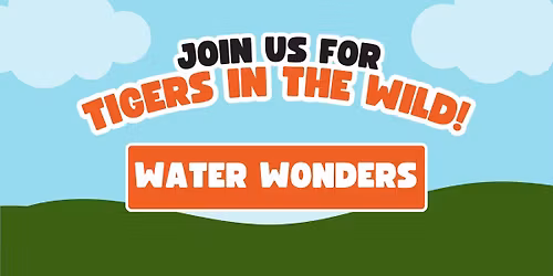 Tigers in the Wild: Water Wonders