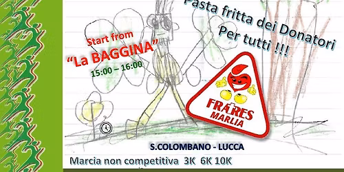 12\u00b0 Canapino nel  Verde